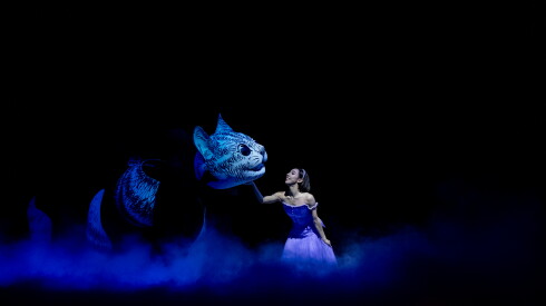 4_Alice's Adventures in Wonderland_Joffrey Company Artist A.jpg