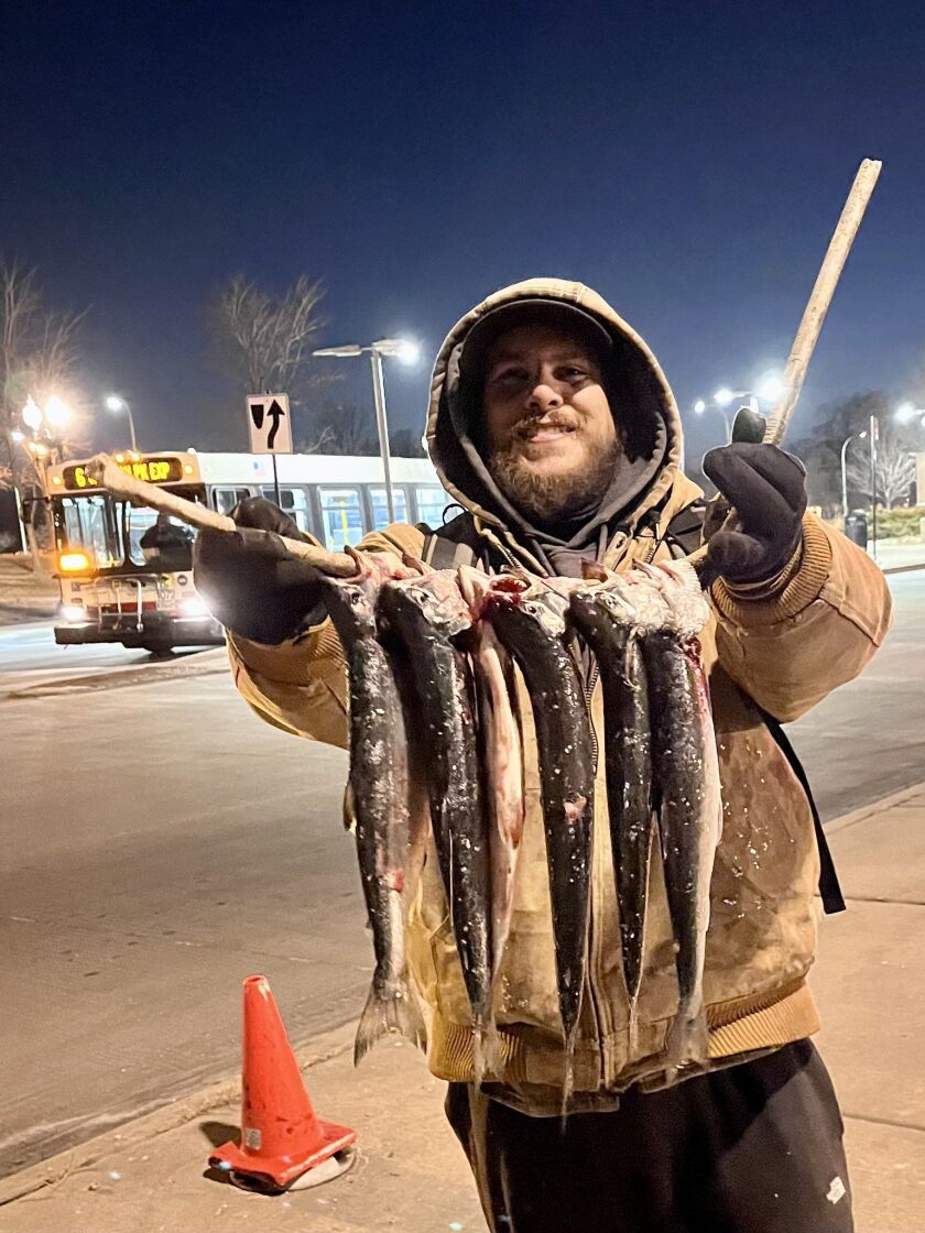 Quinn Wunar with a limit of coho on the Chicago lakefront Monday. Provided photo