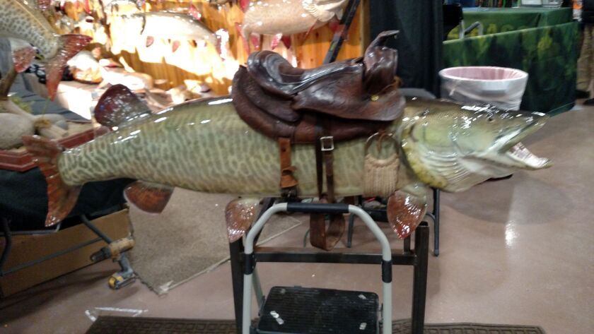 Saddled muskie at the Lax Reproductions booth at the Chicago Muskie Expo.<br>Credit: Dale Bowman