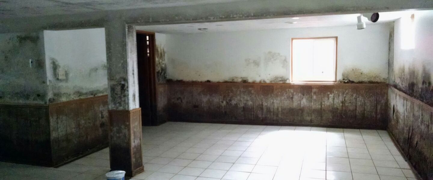 The basement before Natasha Cornog purchased the home.