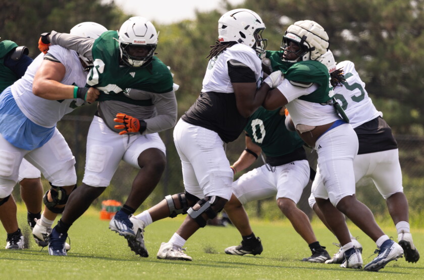 Chicago State University football players practice Wednesday on campus in Roseland.