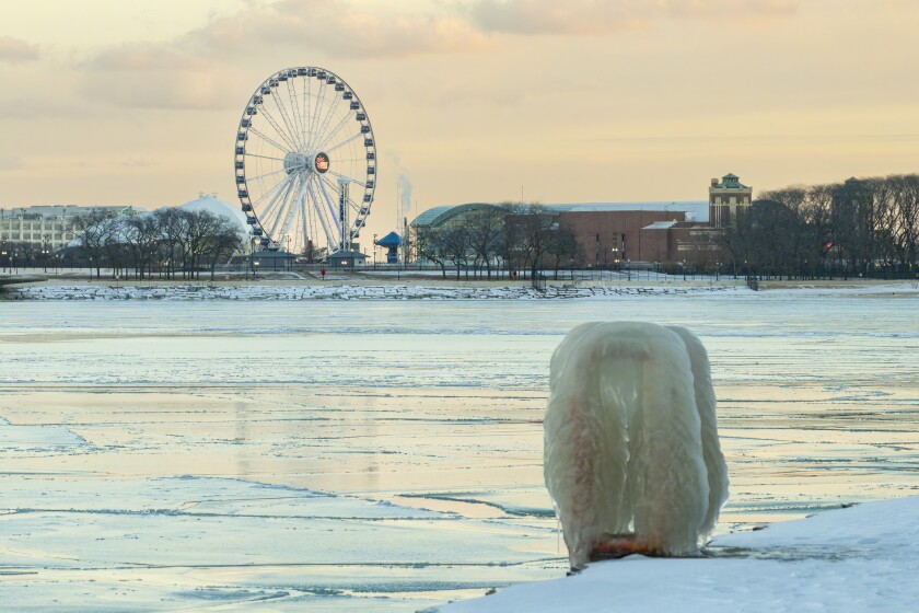 COLD_260123-15.jpg