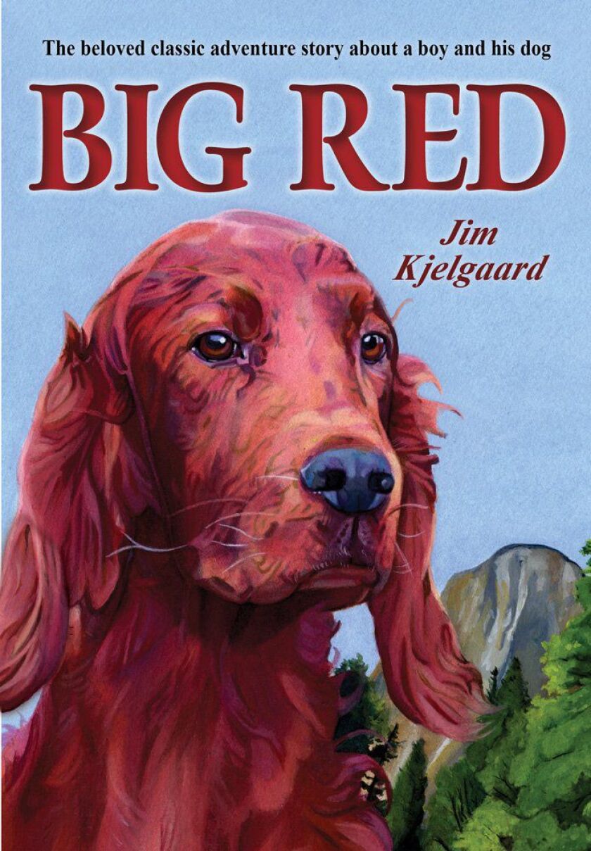 bigredamazon_417x600.jpg
