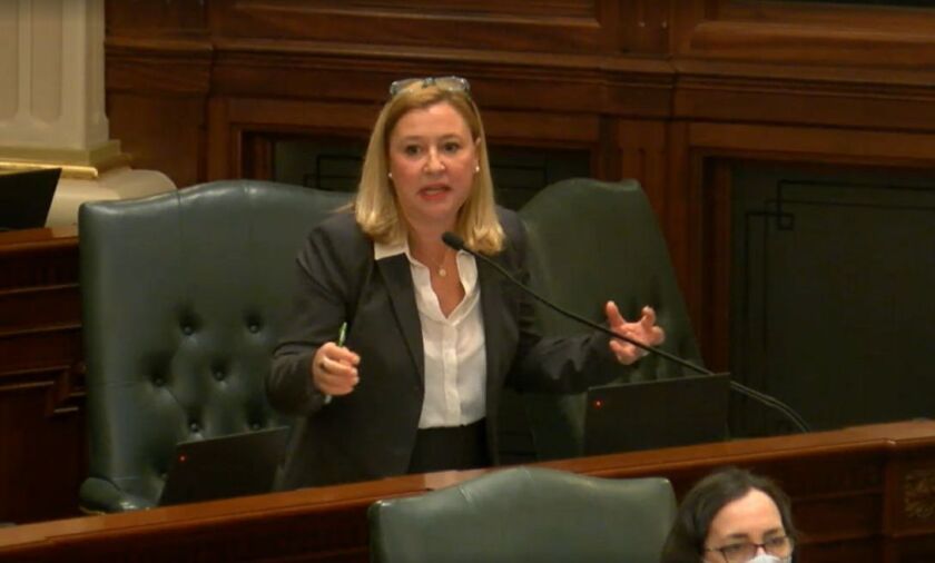 State Rep. Anna Moeller speaks on the House floor late Wednesday night.