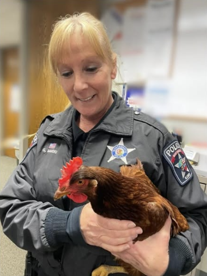 Northbrook animal control officer Gina Manski shown on the job.