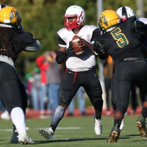 Raby’s Theon Davis (1) drops back to pass. Allen Cunningham/For the Sun-Times.