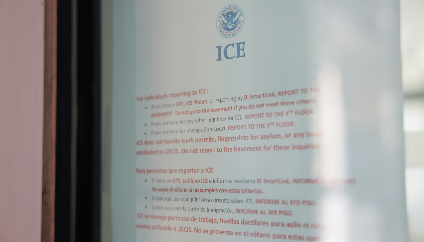 Ice Pattern Immigration City Hall hired film crew to document immigration arrests, ICE claims ...