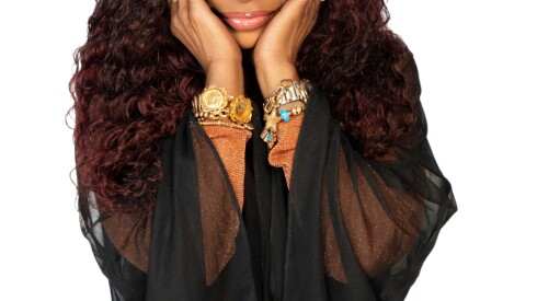 Chaka Khan 2 (Photographer- Nick Nelson) (1).jpeg