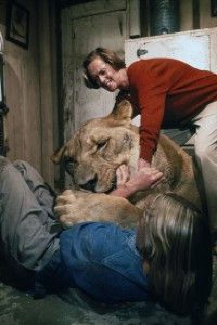 Teenage Melanie Griffith (front) and her mother, Tippi Hedren, fend off an attack in the 1981 film “Roar.” | Drafthouse Films/Olive Films