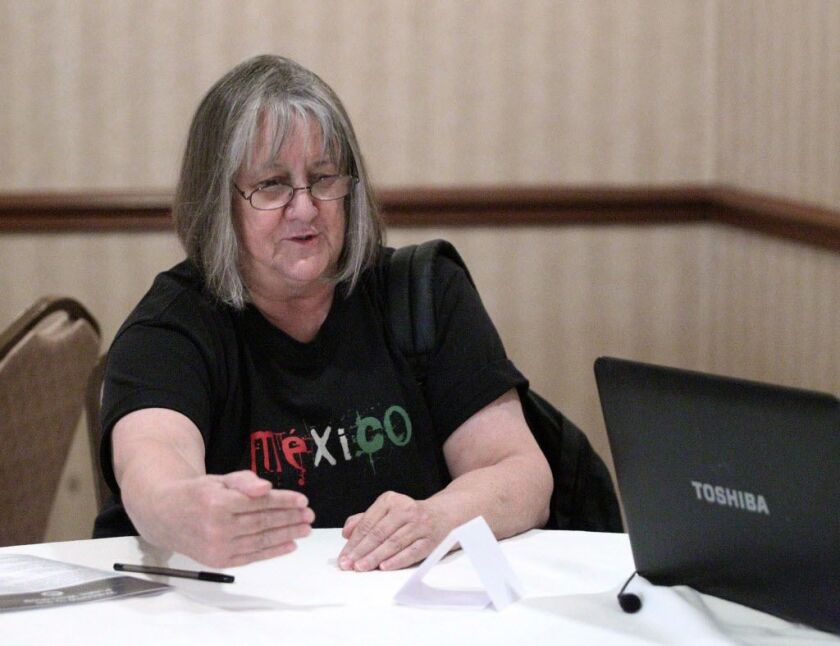 Christine Van Winkle, of Chicago, tells the court reporter about the noise from planes flying over her home . | Kevin Tanaka/For the Sun-Times