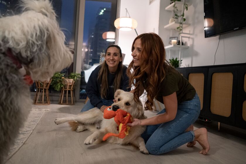 Kara Gibson (right) and her partner Lesley Carrillo (left) play with dogs at their apartment on Friday December 1st, 2023 in Chicago IL. Gibson runs the organization Paws for Walks Chicago, and is a dog walker and sitter based in downtown Chicago.