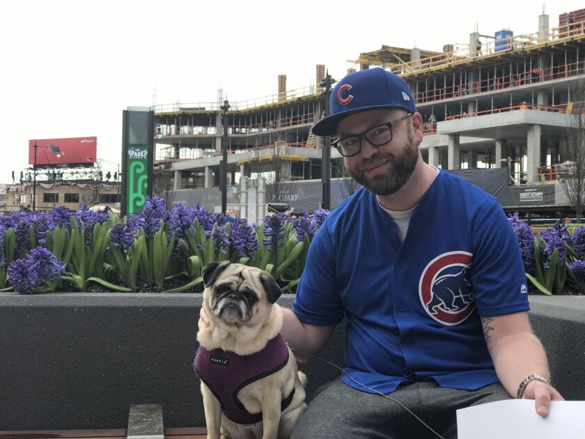Wrigleyville resident Matt McHale, 34, attends the recently opened park beside Wrigley Field and brings along his pug, Daisy. | Andrea Salcedo/For the Sun-Times