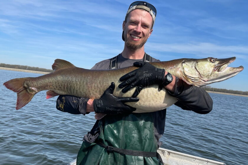 Musky Things Dream of big muskies? Heidecke Lake might be the place - Chicago Sun-Times