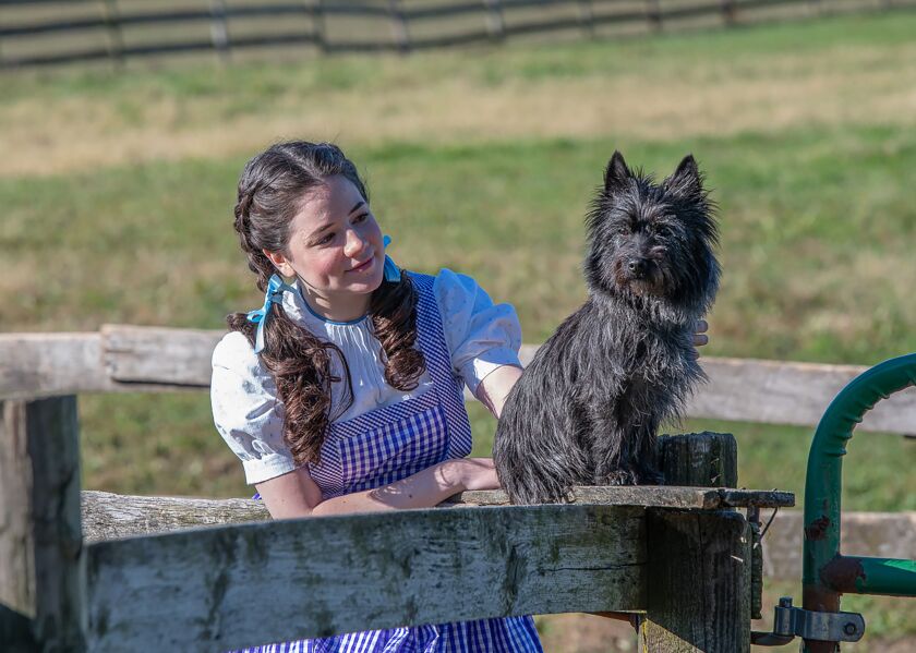 Elizabeth Stenholt plays Dorothy and Nessa plays Toto in “The Wizard of Oz” at Paramount Theatre. | Thomas J. King