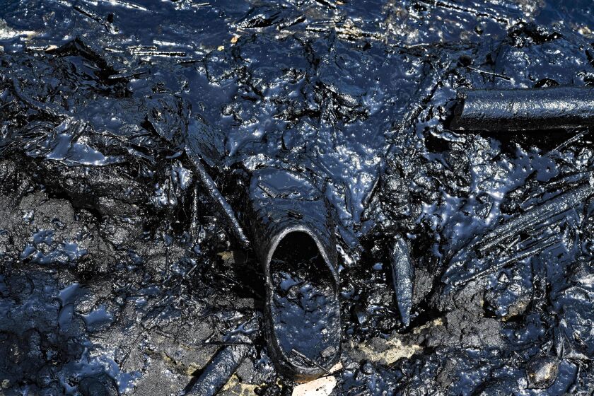 El petróleo cubre las orillas del contaminado Lago de Maracaibo, en Venezuela. La Ciudad de Maracaibo es el centro histórico de la industria petrolera del país.