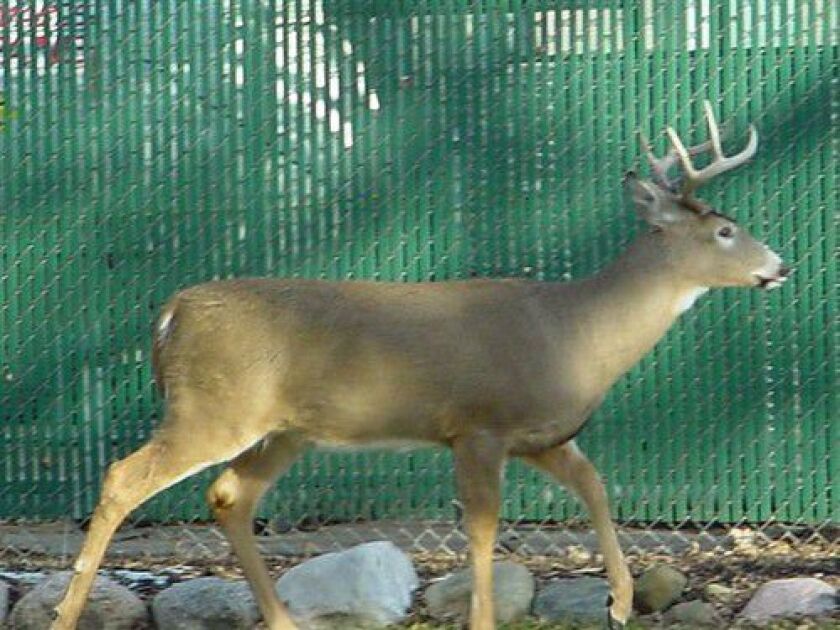 4280404897_2472ccf759.jpg