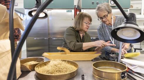 Left to right, Carolyn Kuechler and Marty Landorf, volunteers at the Chicago Botanic Gardens in Highland Park Illinois work on separating the seeds from the chaff at the seed bank in the Carr Administrative Center on February 10, 2026. | Manuel Martinez/WBEZ