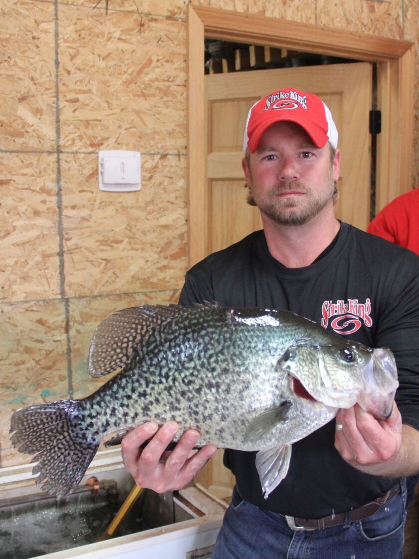 Ryan Povolish with the Illinois-record crappie (either black or hybrid), he caught March 28, 2017 from Kinkaid Lake.<br>Credit: Les Winkeler/The Southern