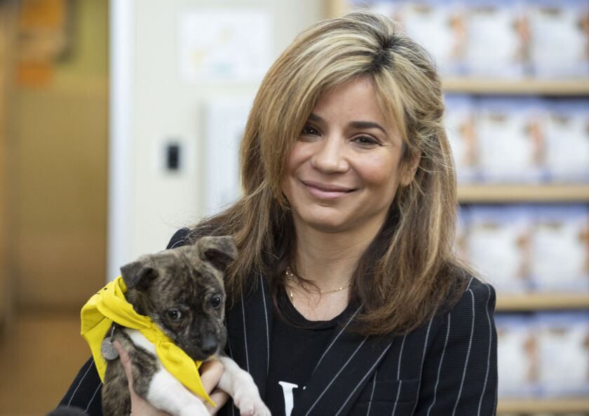 PAWS CEO Susanna Homan with a puppy named Herbie, announcing the start of PAWS Spring Adopt-a-Thon. Friday, April 8, 2022.