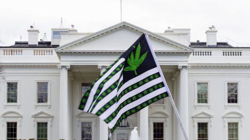 A demonstrator waves a flag with marijuana leaves depicted on it during a protest calling for the legalization of marijuana, outside of the White House on April 2, 2016, in Washington. President Joe Biden is pardoning thousands of Americans convicted of “simple possession” of marijuana under federal law, as his administration takes a dramatic step toward decriminalizing the drug and addressing charging practices that disproportionately impact people of color.