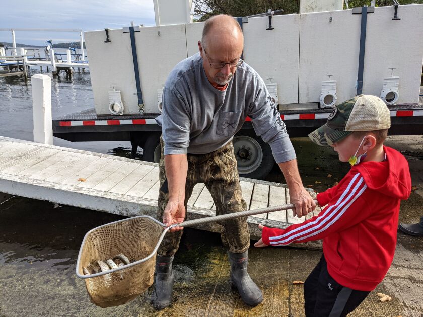 Rob Jost of Minnesota Muskie Farm hands the first net of advanced growth fingerling muskies to Quinn Henaghan to be released into Geneva Lake on Thursday through the efforts of the Chicagoland Muskie Hunters chapter of Muskies, Inc. Credit: Dale Bowman