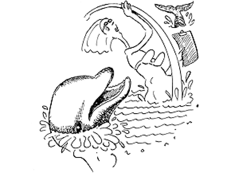 dope_140725_dolphinrape.gif
