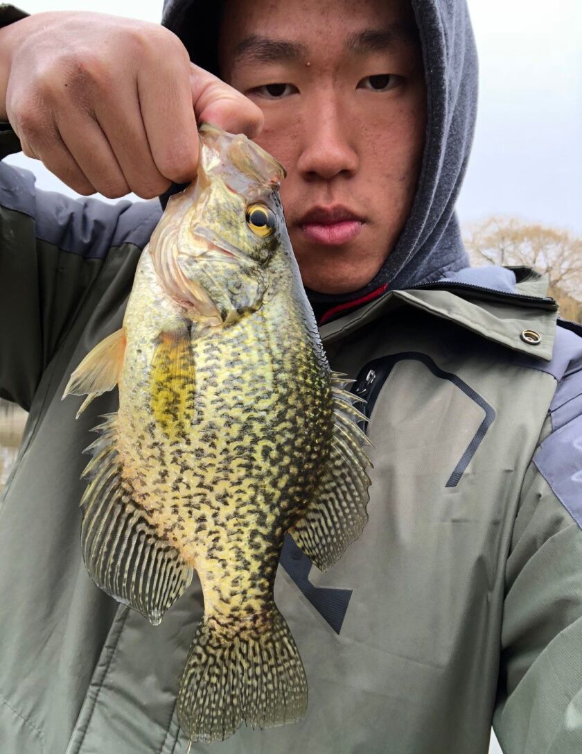 Charles Zheng with one of the crappie from the last week. Photo provided