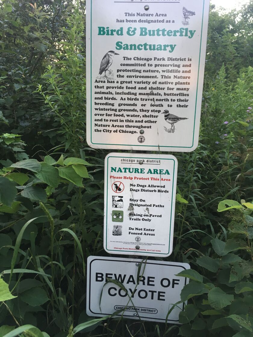 Signs marking the Bird and Butterfly Sanctuary tucked into a corner of the Chicago Park District’s South Shore Golf Course.