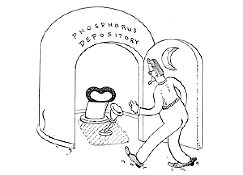 dope_100326_phosphorus.gif