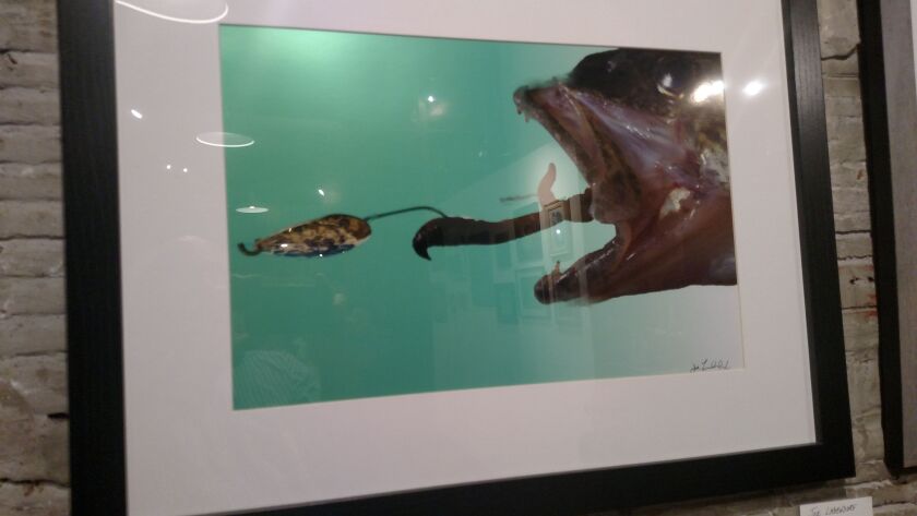 Joe Ladendorf’s “Walleye” is one of the truest fisherman’s pieces of art in “Fishing Season” at Paul Henry’s Art Gallery.<br>Credit: Dale Bowman