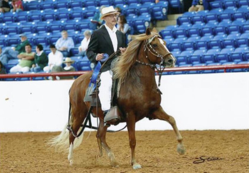 Dr. Jorge O. Galante bred and raised Peruvian horses, a breed also known as the Peruvian Paso. Its smooth gait didn’t irritate his back problems. | Facebook photo from North American Peruvian Horse Association