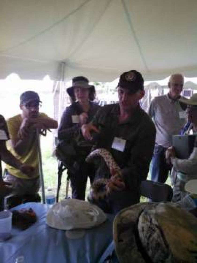 bioblitz06_13_15tomantonbullsnake_450x600.jpg