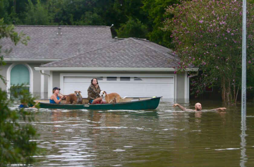 A family evacuates their Meyerland home in Houston, Sunday, Aug. 27, 2017. Rescuers answered hundreds of calls for help Sunday as floodwaters from the remnants of Hurricane Harvey rose high enough to begin filling second-story homes, and authorities urged