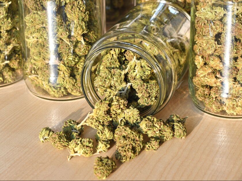 From business leaders to advocates to lawmakers, the Sun-Times has collected a list of some of the key figures in Illinois cannabis. | Adobe Stock Photo
