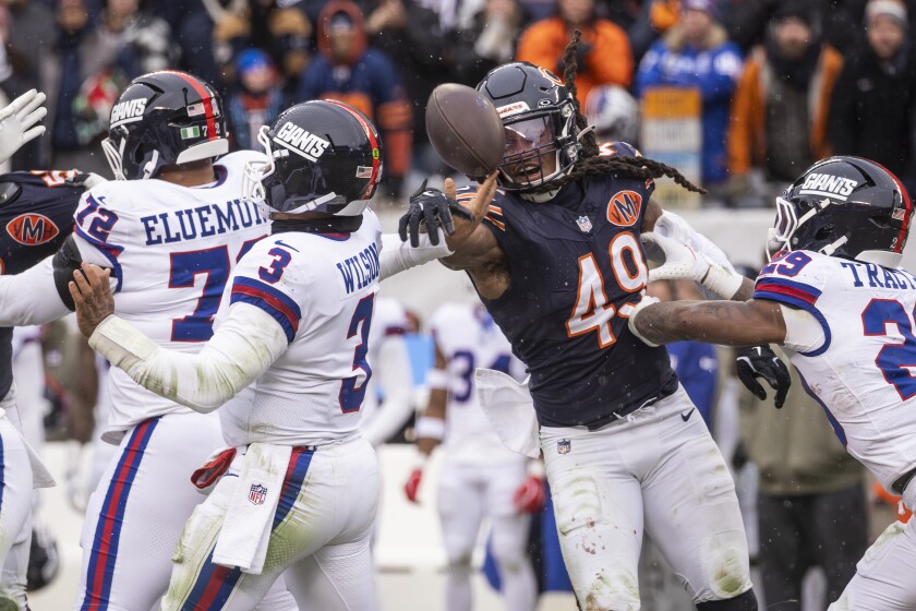 BEARS-111025-49.jpg