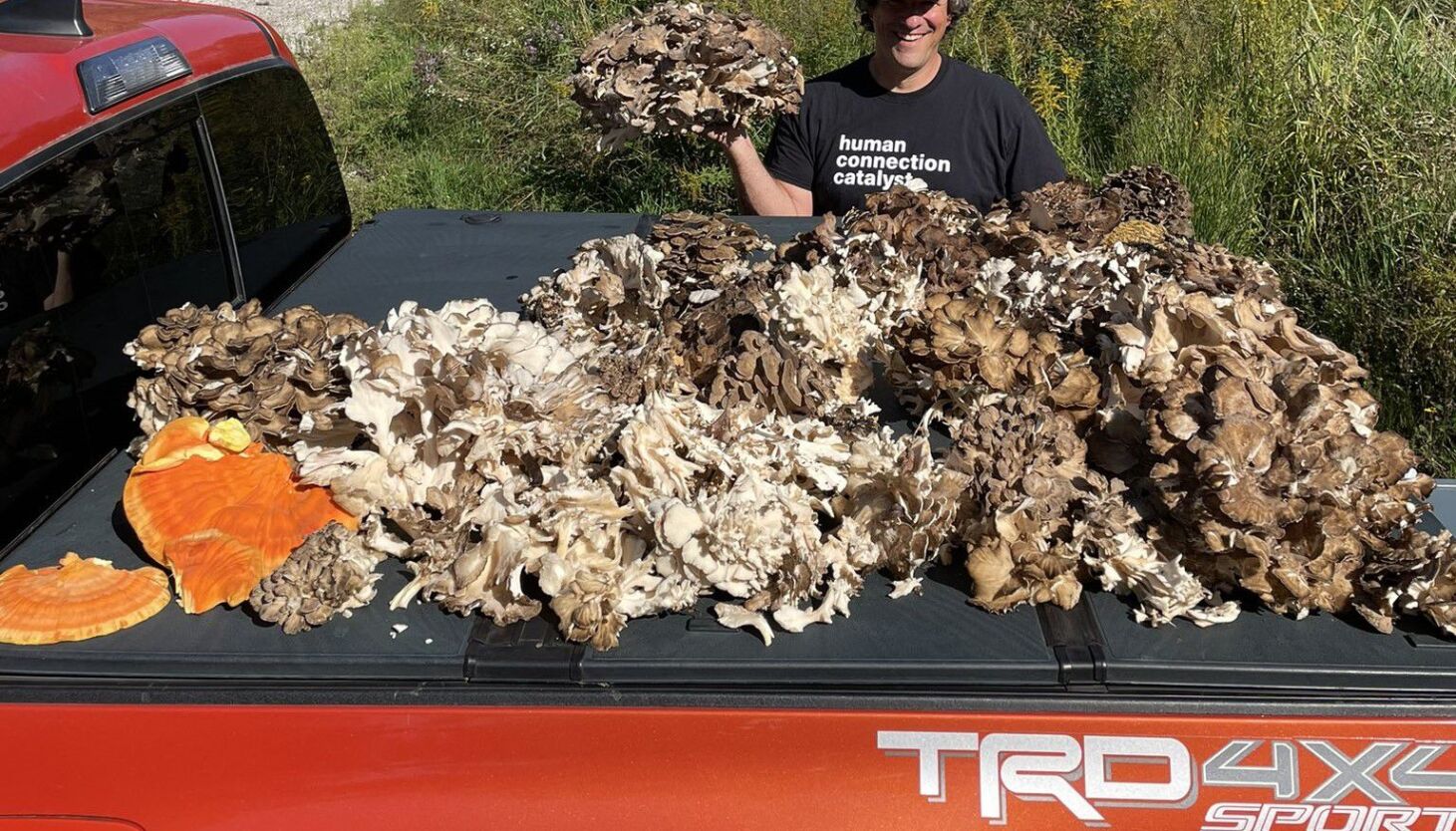NextImg:Mother of all hen-of-the-woods finds
