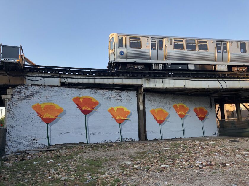 The artist who goes by “fnnch” completed this mural of poppies under the CTA’s Sheridan Road L stop on the Red Line in 2018.