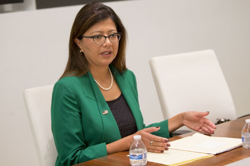 Then state Rep. Karina Villa in 2018.