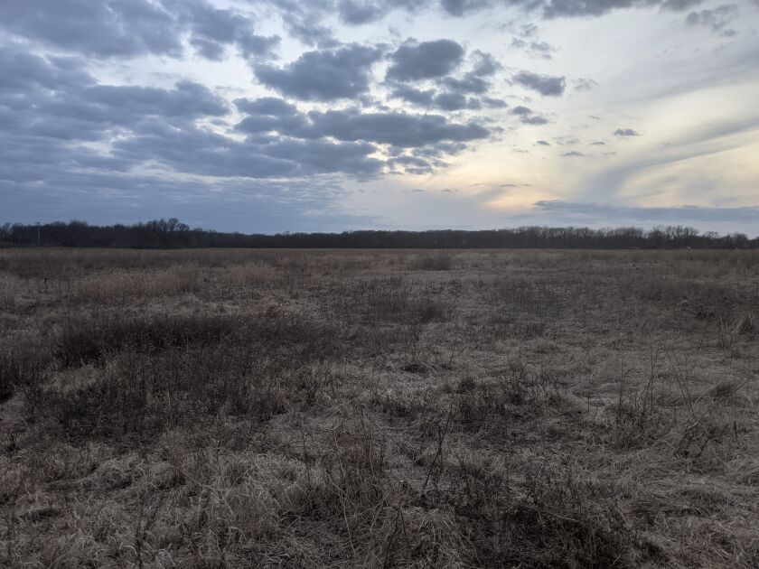 The landscape for seeing woodcock Monday at Kyle Danhausen’s farm. Credit: Dale Bowman