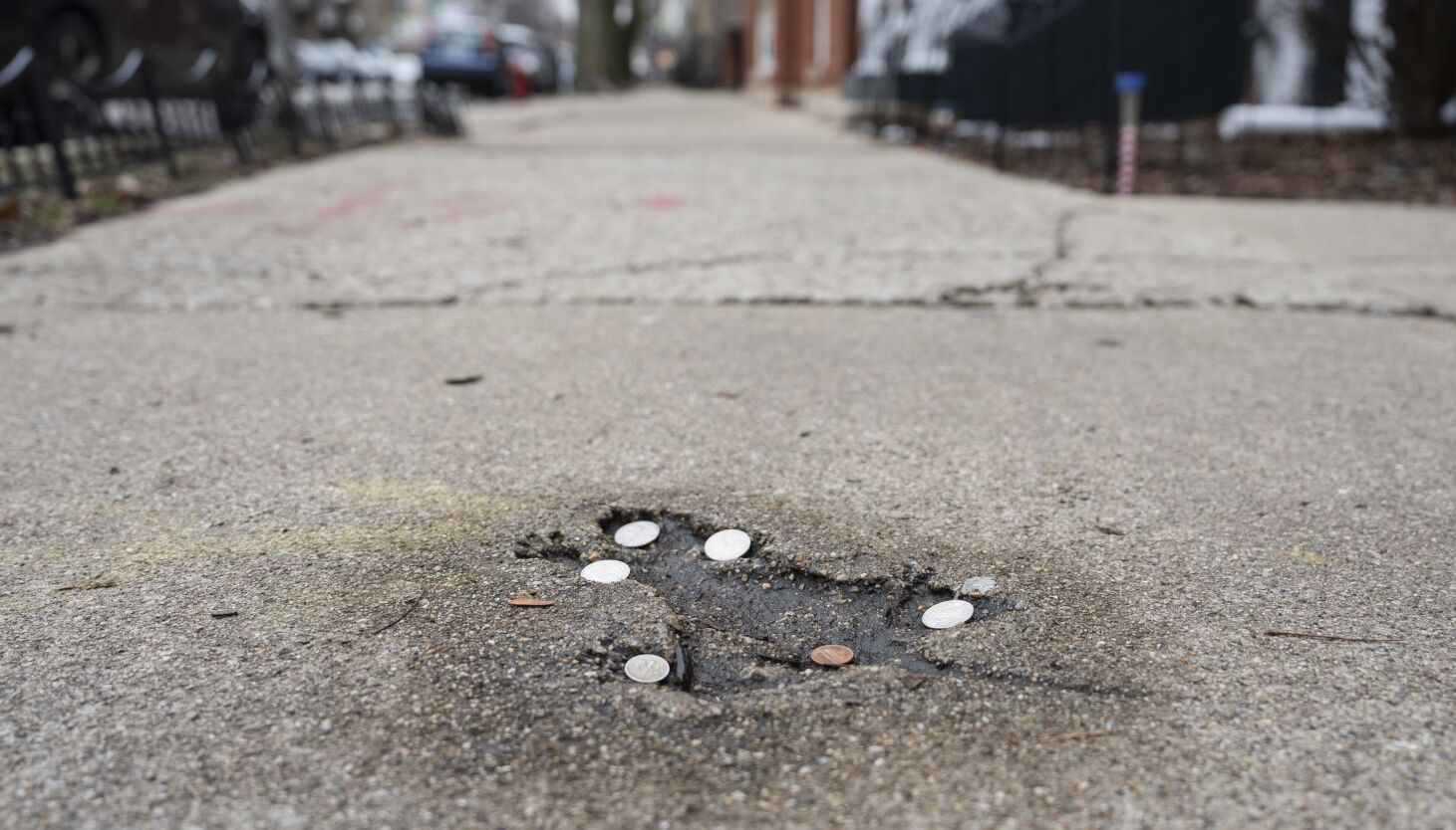 NextImg:Going down the ‘Rat Hole?’ Viral phenom is actually decades-old squirrel imprint beloved by the block, neighbors say