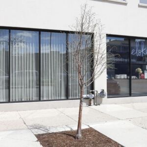 Elske restaurant, 1350 W Randolph St. | Rich Hein/Sun-Times