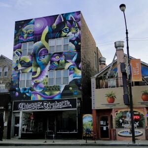 A mural by Dutch artist EELCO above Truborn Gallery, 1741 W. Chicago Ave. | Alisa Hauser/For the Sun-Times