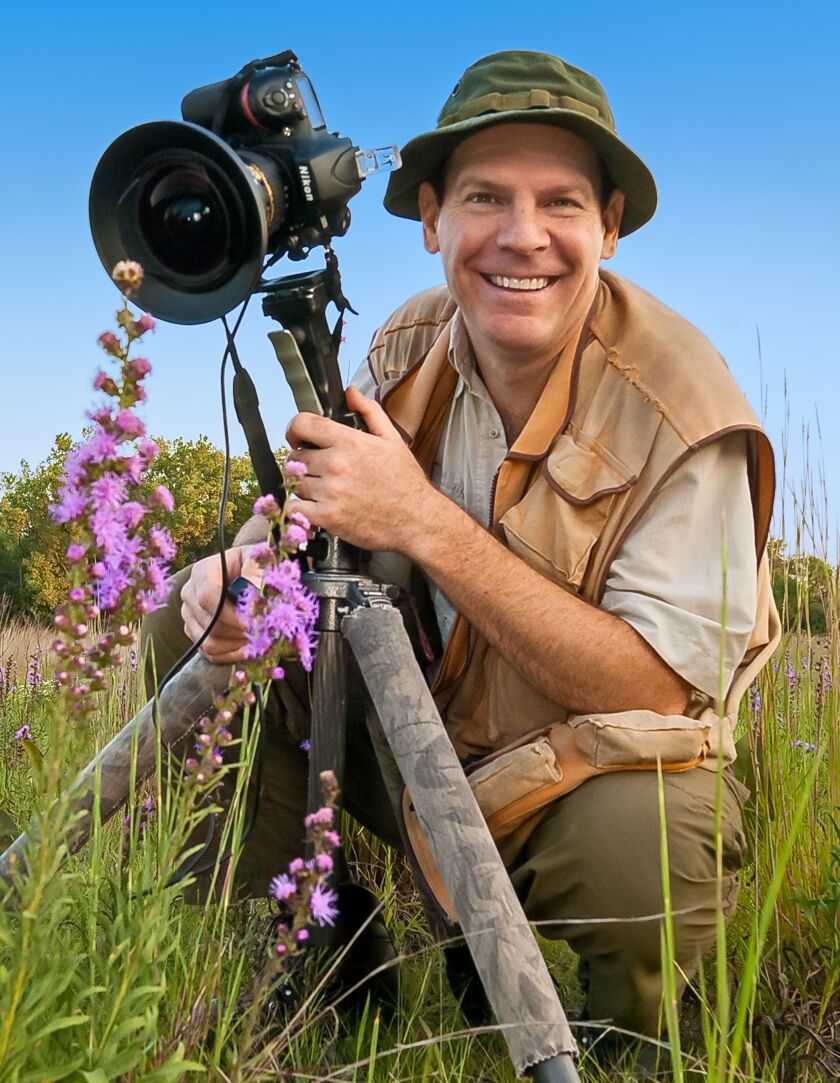 Mike MacDonald photographs a landscape blooming with rough blazing star at Theodore Stone Preserve in Hodgkins. | David Jagodzinski photo