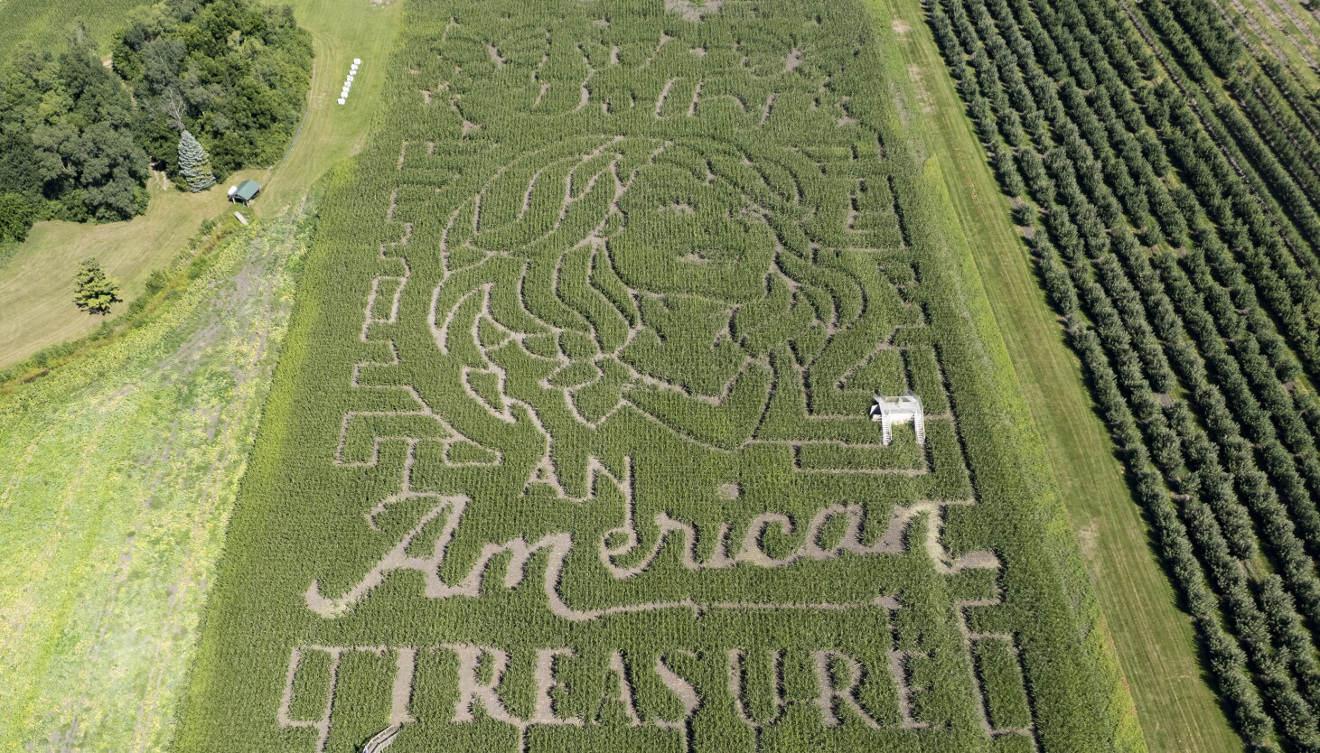 The Rundown: A corn maze honoring Dolly Parton