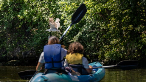 Kayak for Conservation - courtesy of Shedd Aquarium.jpg