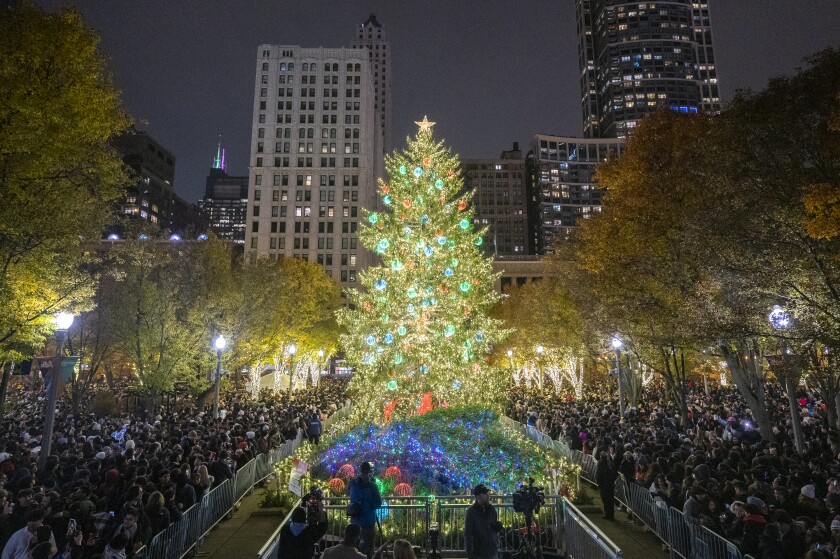 A Christmas tree shines during the 112th annual tree lighting ceremony at Millennium Park, Friday, Nov. 21, 2025. | Tyler Pasciak LaRiviere/Sun-Times