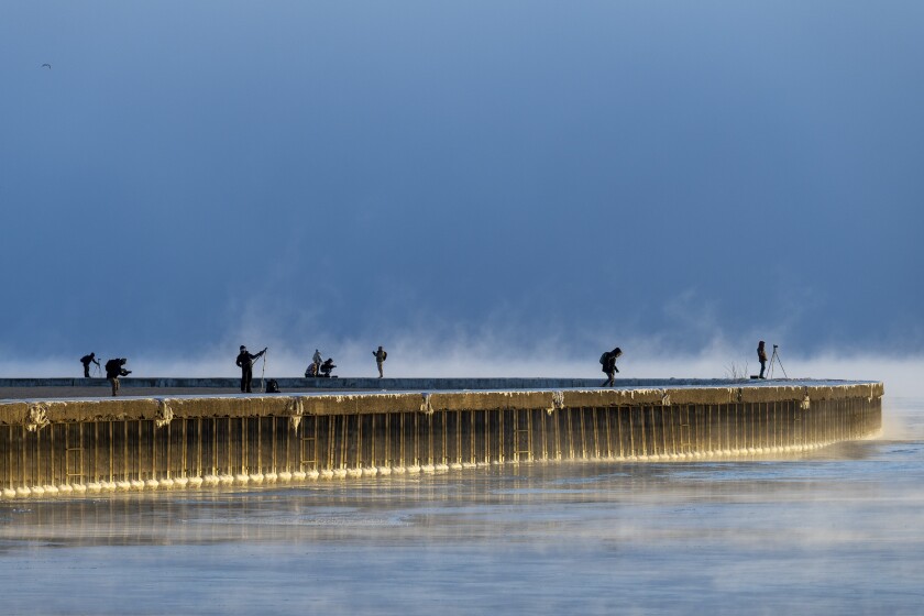 COLD_260124-20.jpg