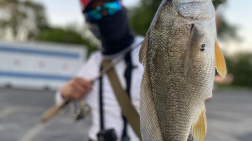 Jason Special One Le with a freshwater drum from a Chicago harbor. Provided photo