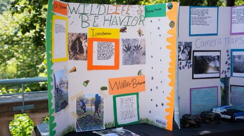 A poster presenting a student project on wildlife behavior during a Project Exploration summer programming showcase at the Columbus Park Refectory in Austin on Thursday July 30, 2026.