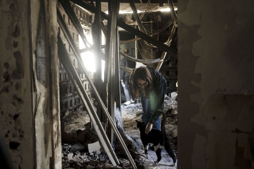 Sharon Alony Cunio is reunited with her cat, Elvis, on Jan. 15, 2024, in the ruins of her home in Kibbutz Nir Oz from where she was kidnapped with her daughters and husband on Oct. 7, 2023.